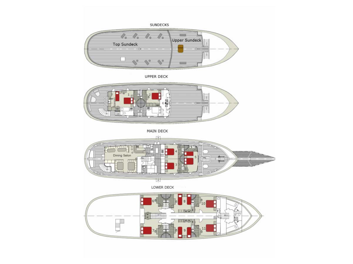 M/Y — photo 29