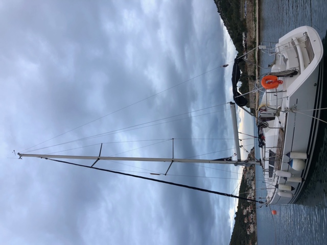 Sun Odyssey 36i — photo 14
