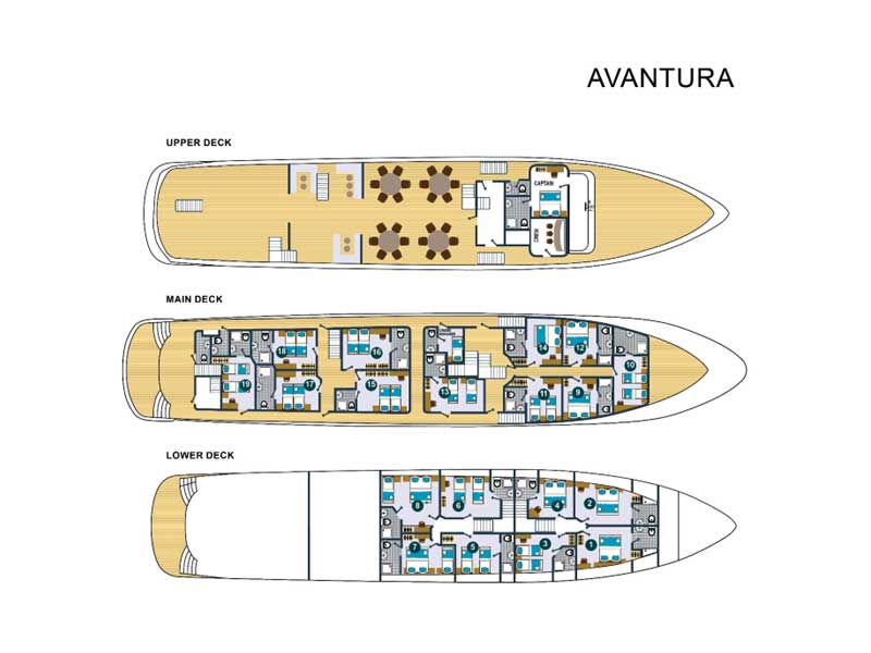 Avantura — photo 23