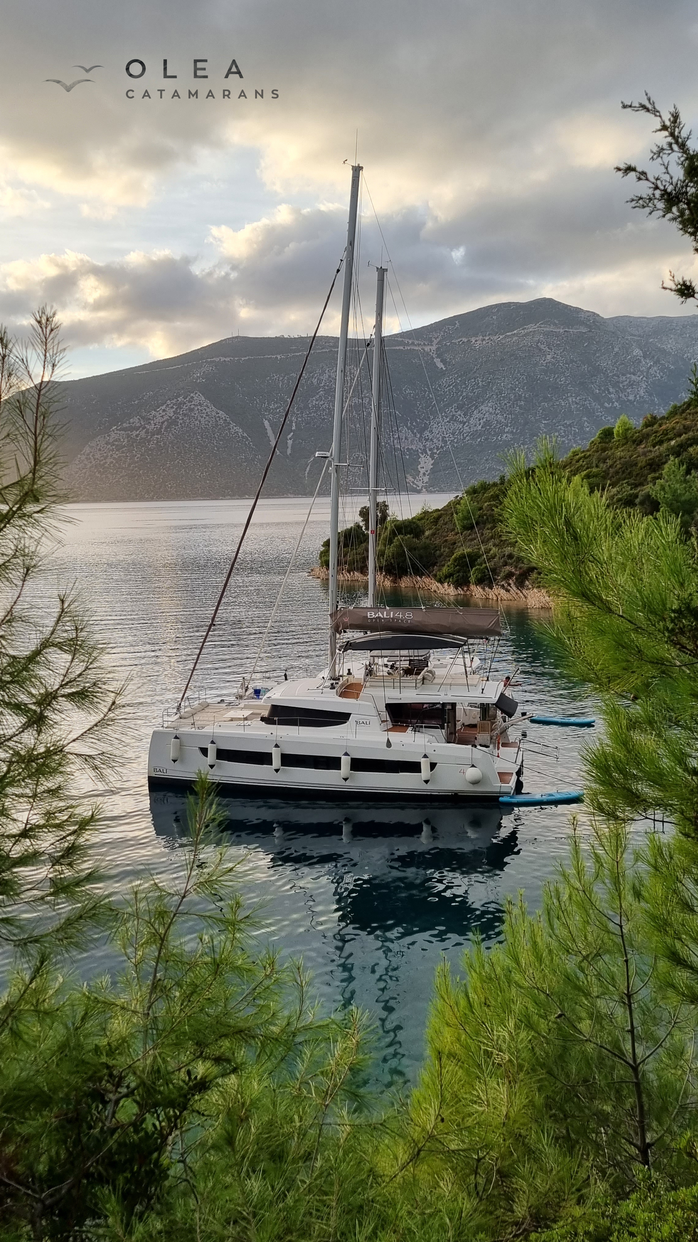 Bali 4.8 — photo 15