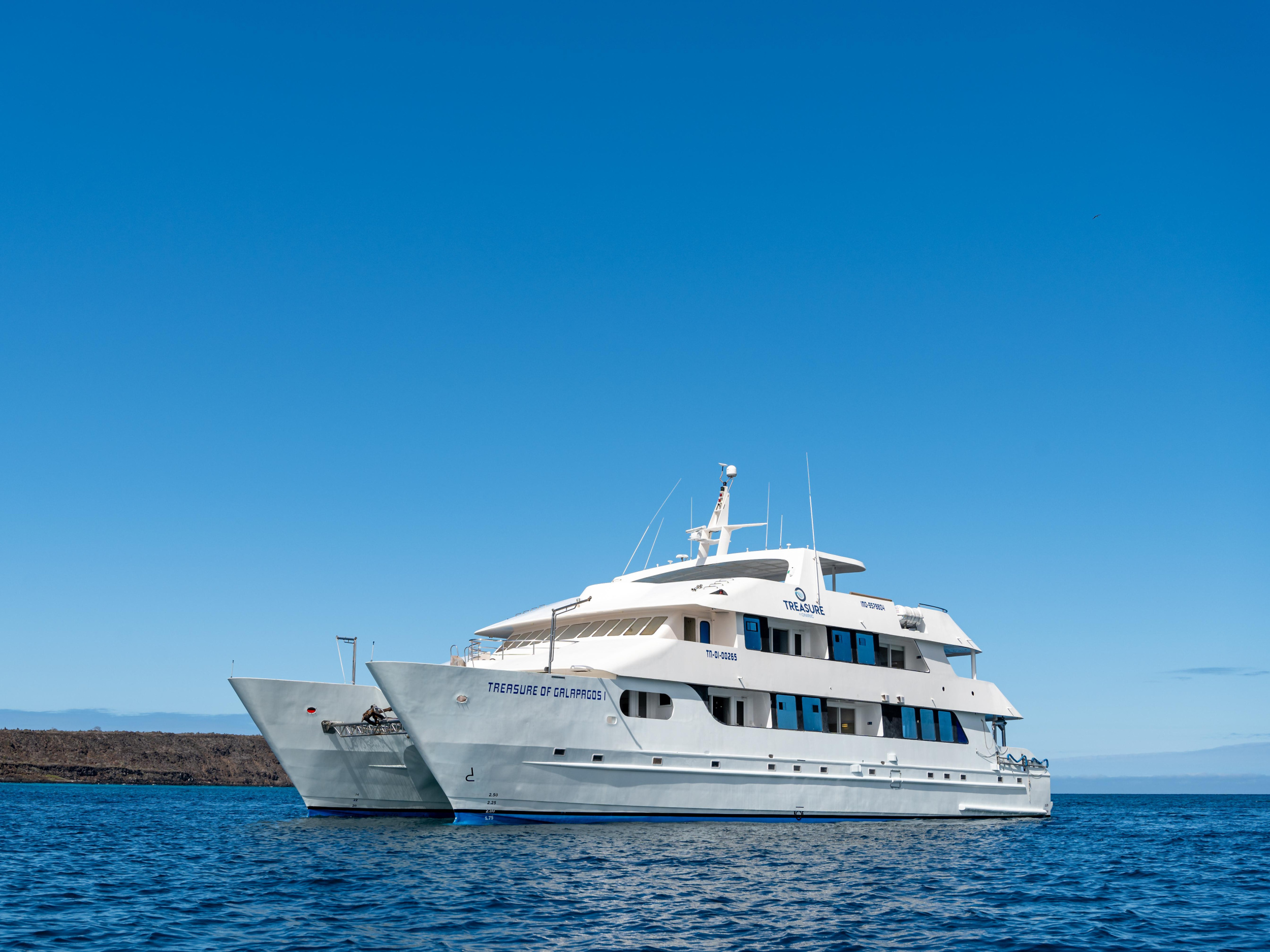 Catamaran - Treasure — photo 1