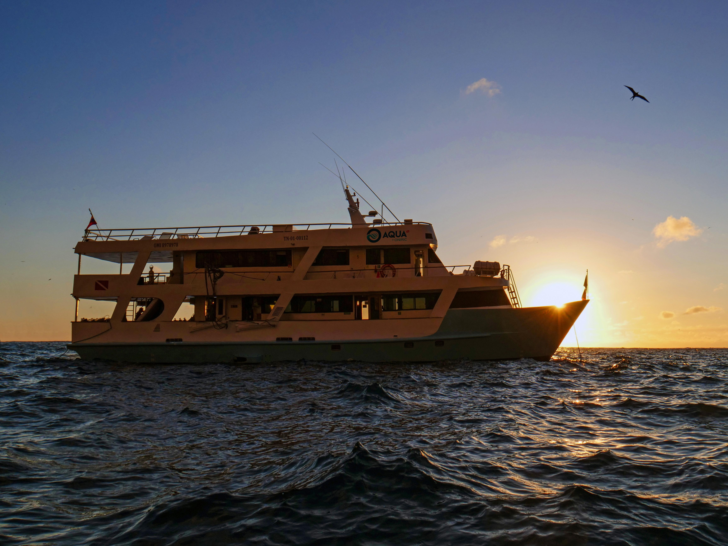 Motoryacht - Aqua — photo 5