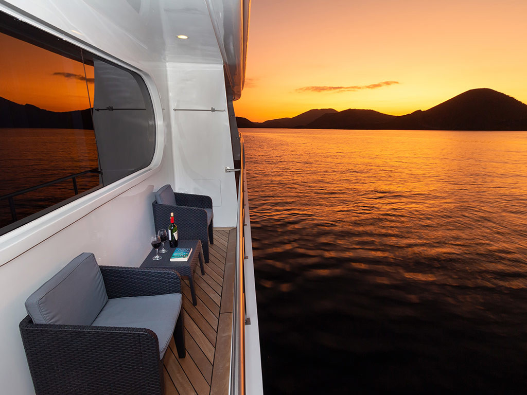 Power Cat - Petrel Cabin — photo 17
