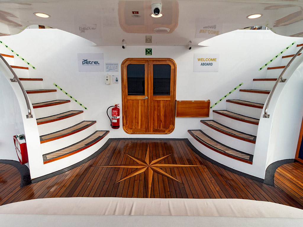 Power Cat - Petrel Cabin — photo 2