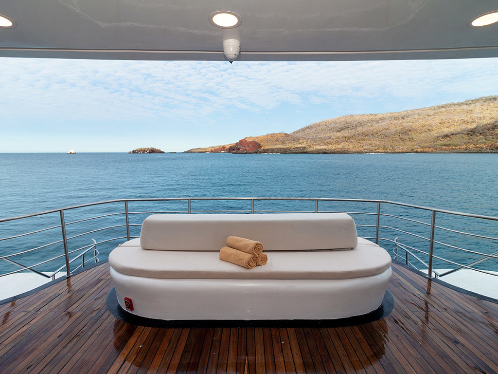 Power Cat - Petrel Cabin — photo 15