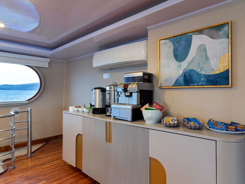 Power Cat - Petrel Cabin — photo 20