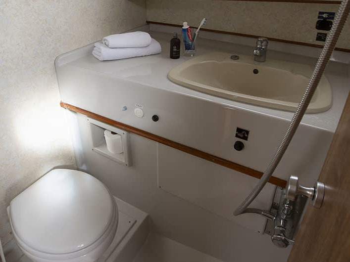 Crusader — photo 6