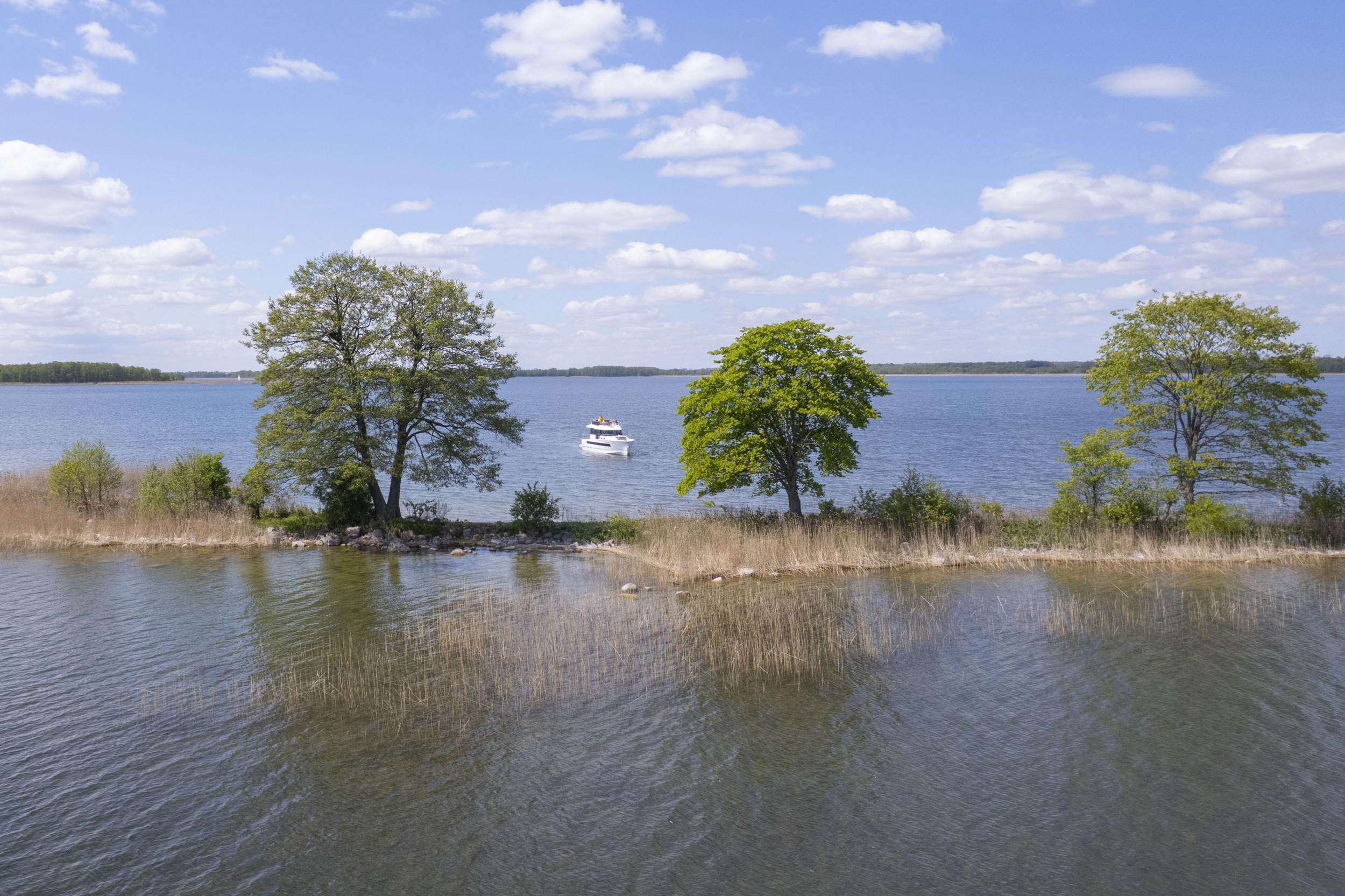 Northman 1200 — photo 10
