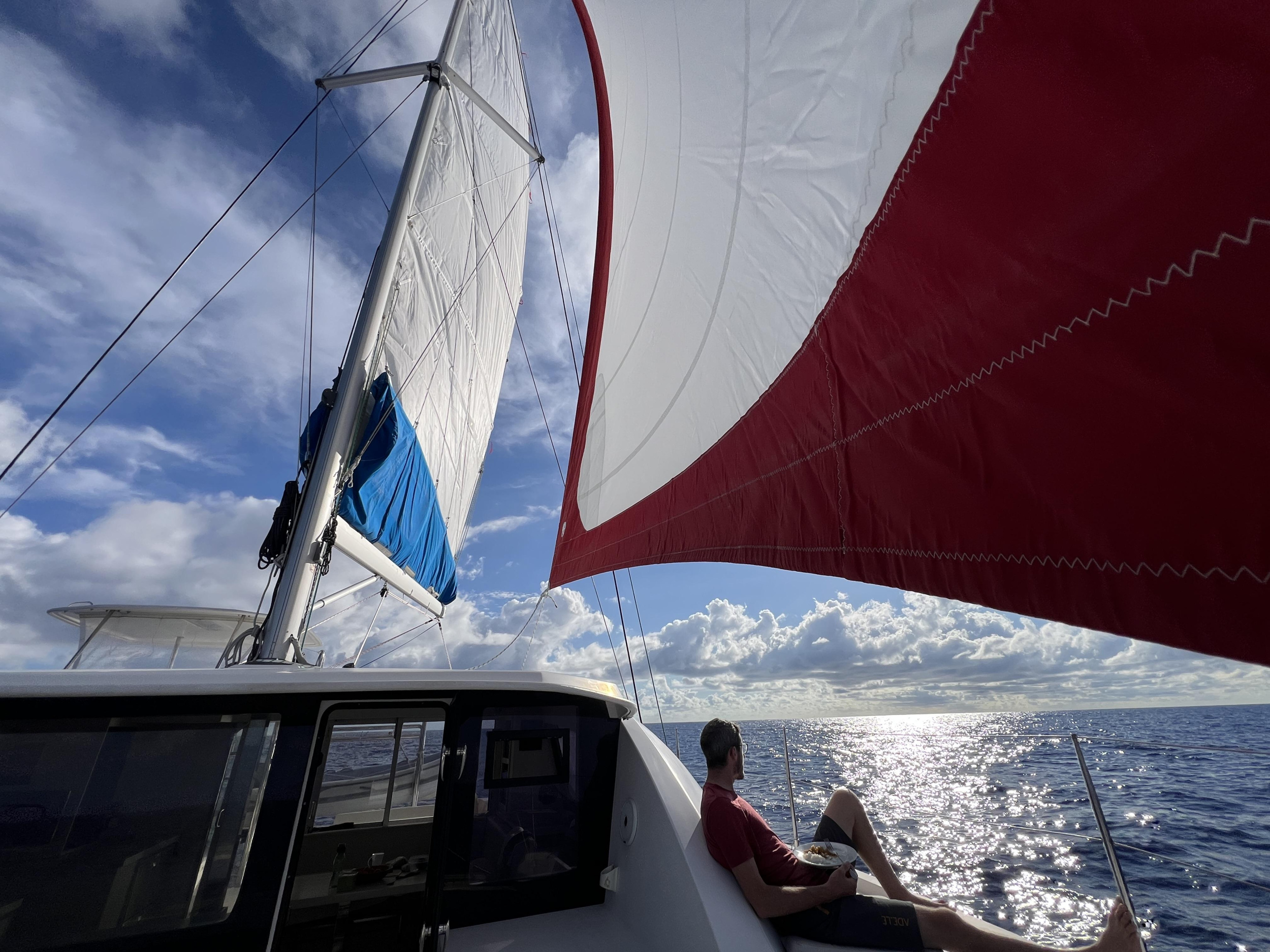 Leopard 40 — photo 15