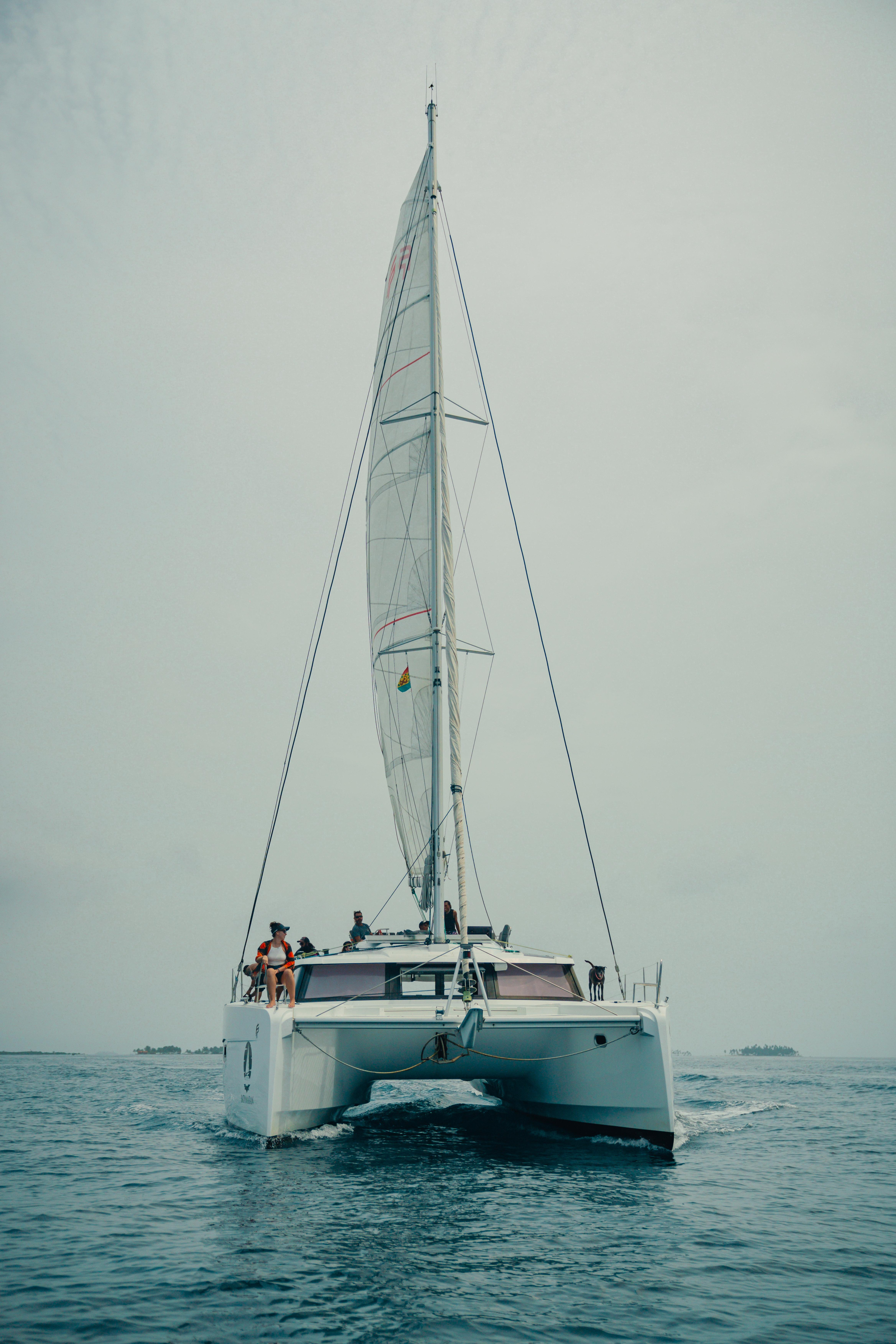 Elba 45 — photo 33