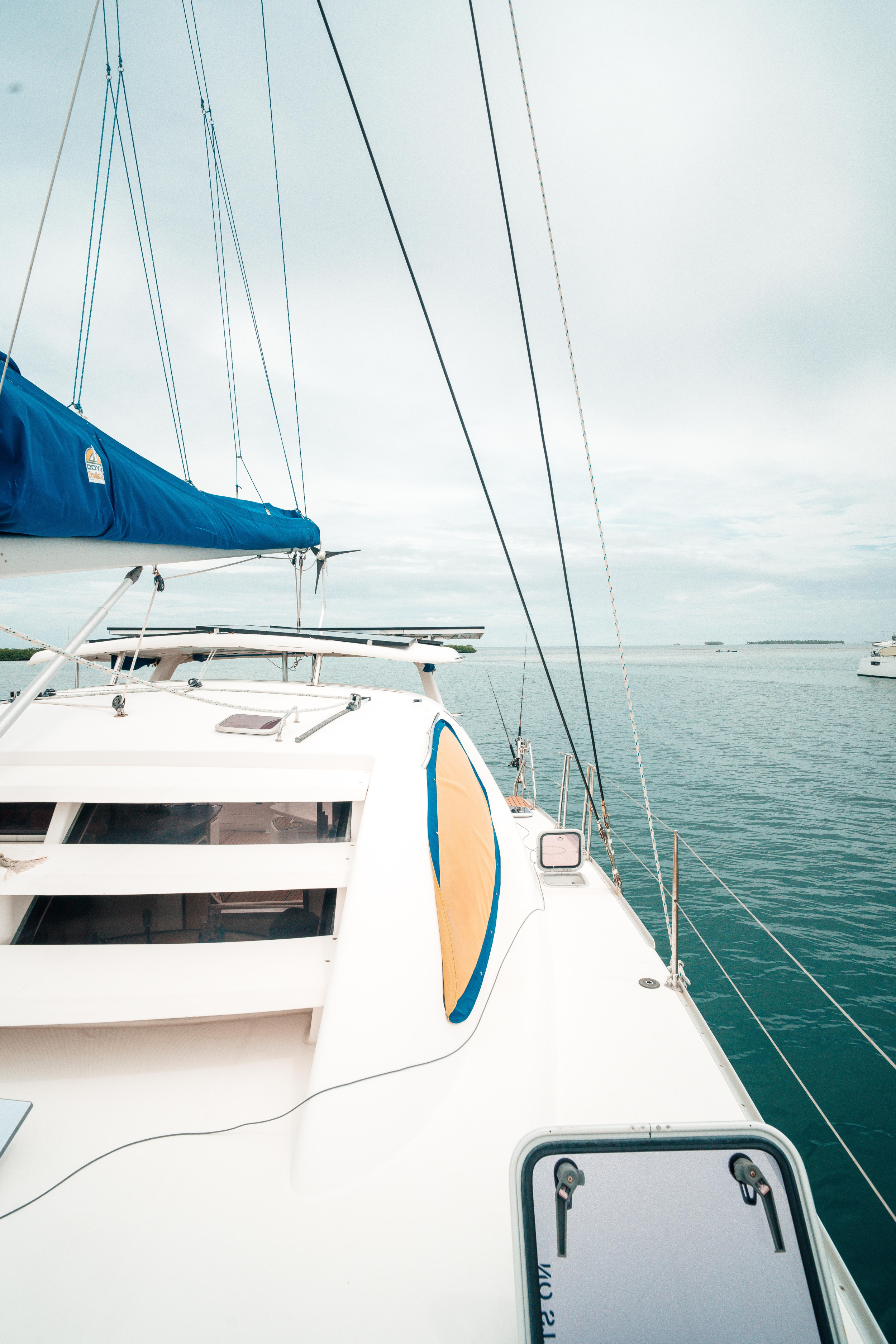 Leopard 40 — photo 21