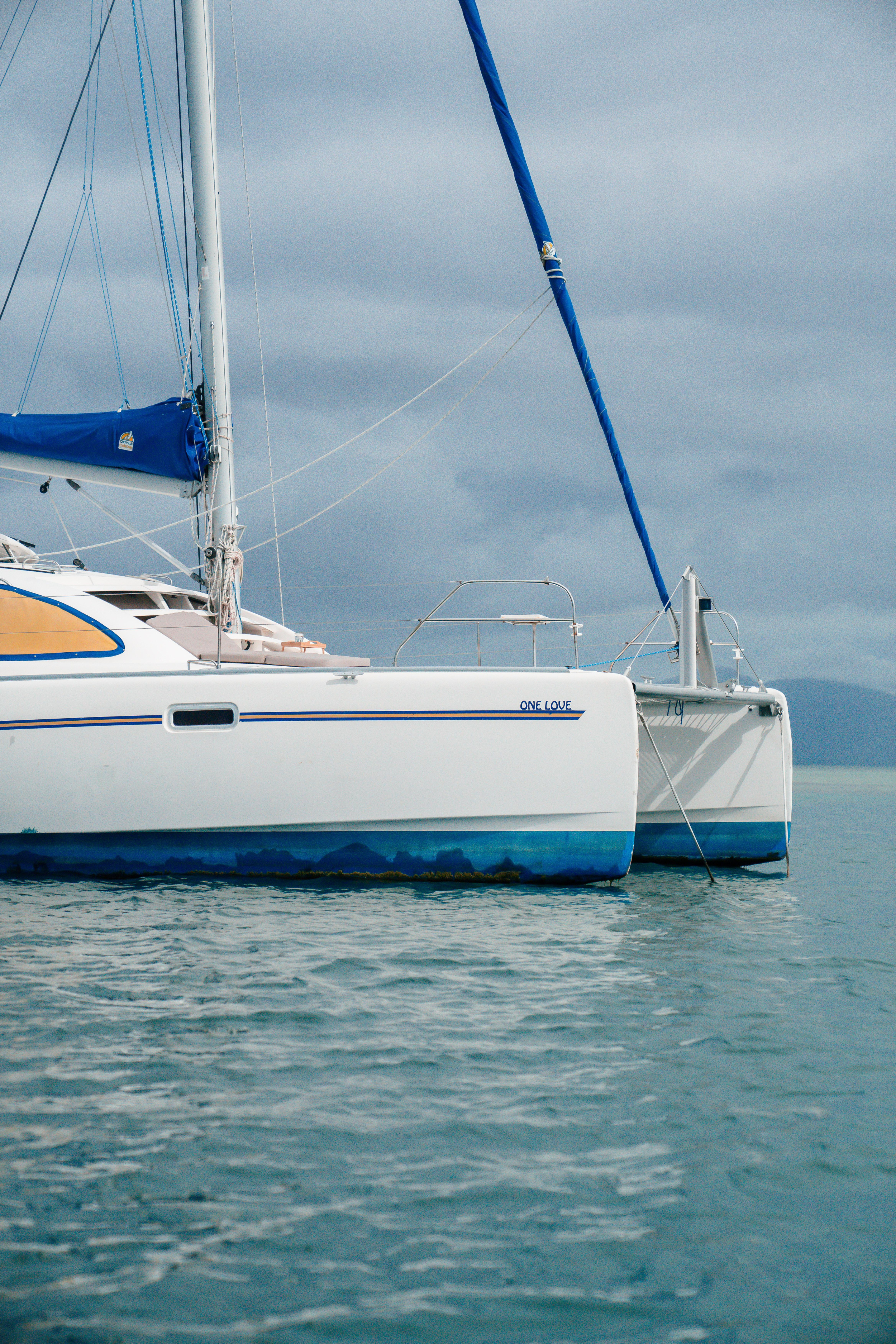 Leopard 40 — photo 32