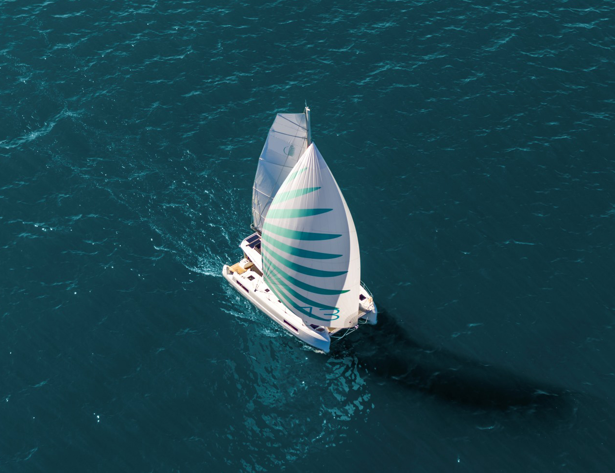 Lagoon 43 — photo 9