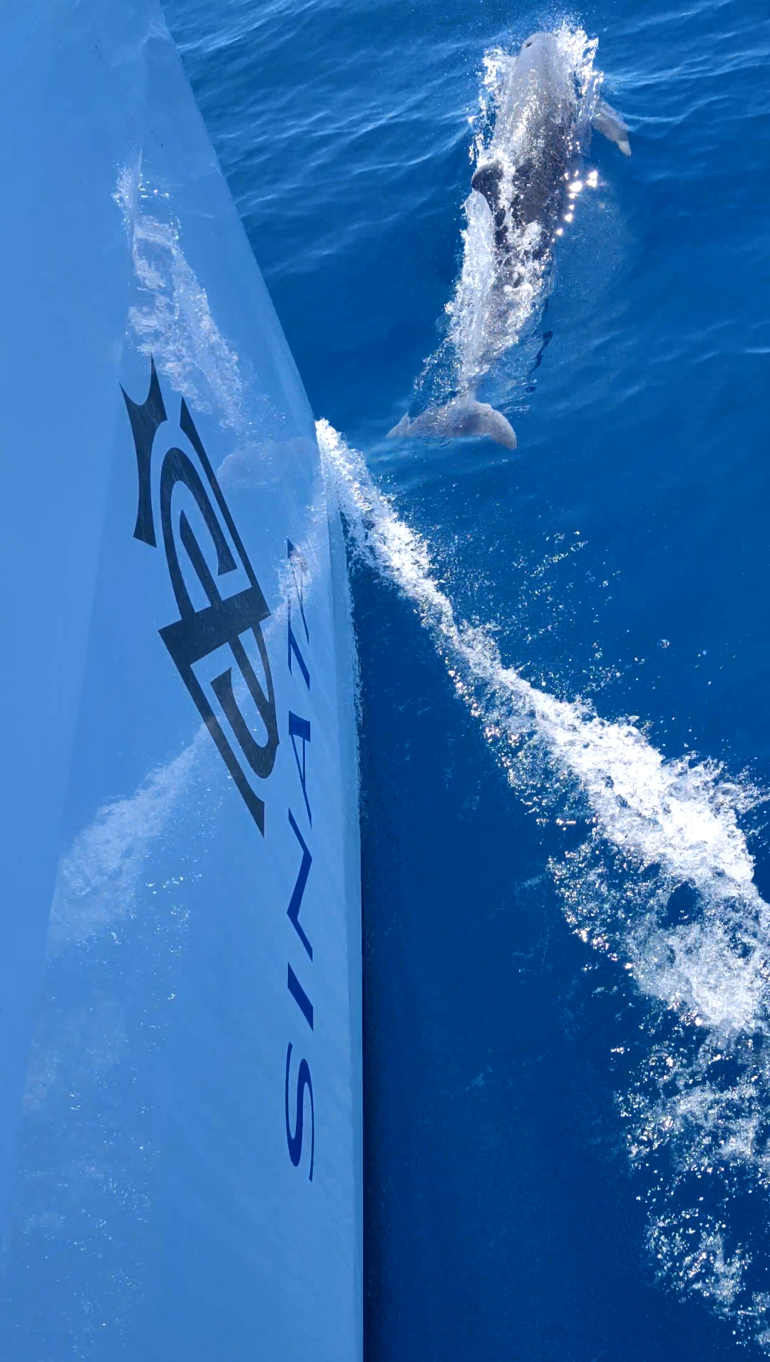 Sunreef 60 — photo 15