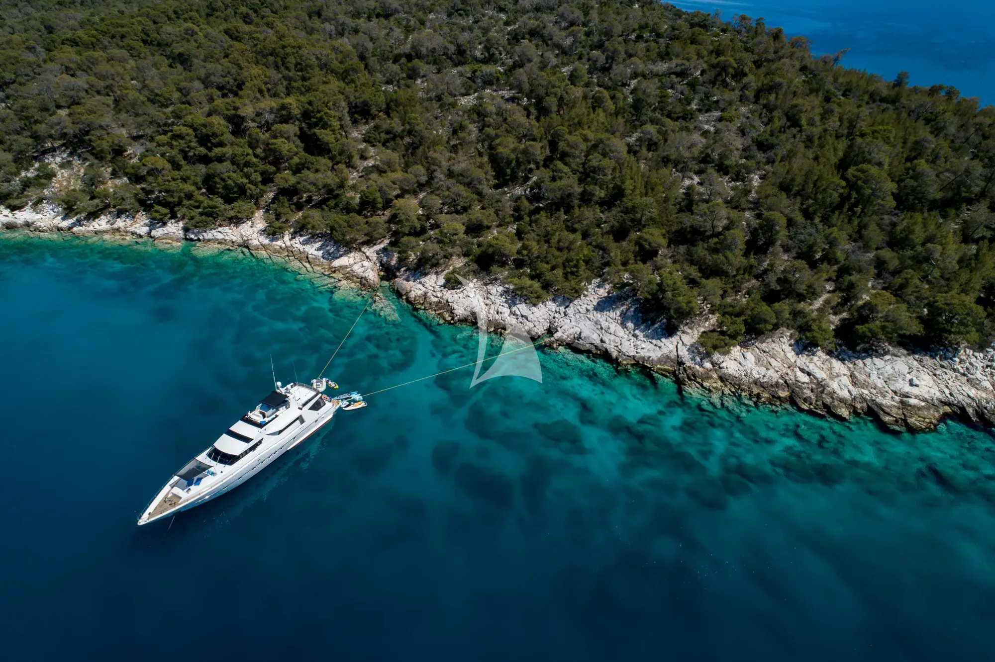 Alfamarine 90 — photo 14
