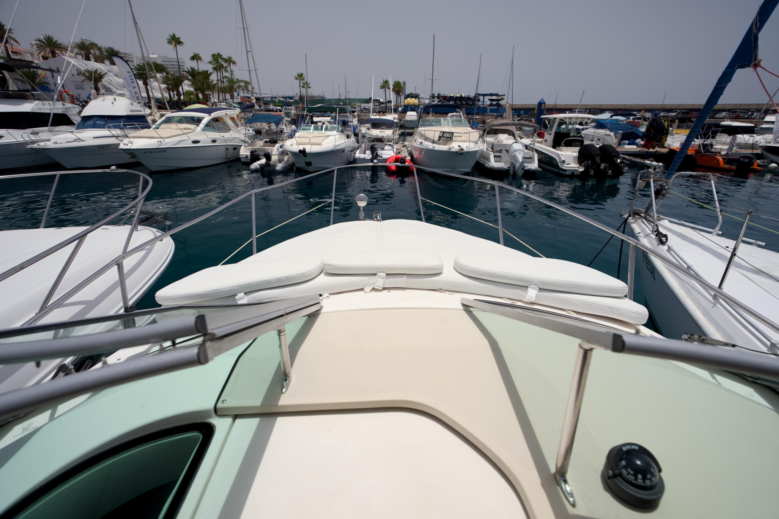Sealine SC29 — photo 6