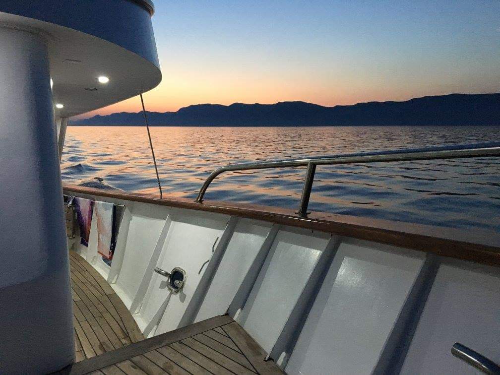 Motoryacht — photo 15