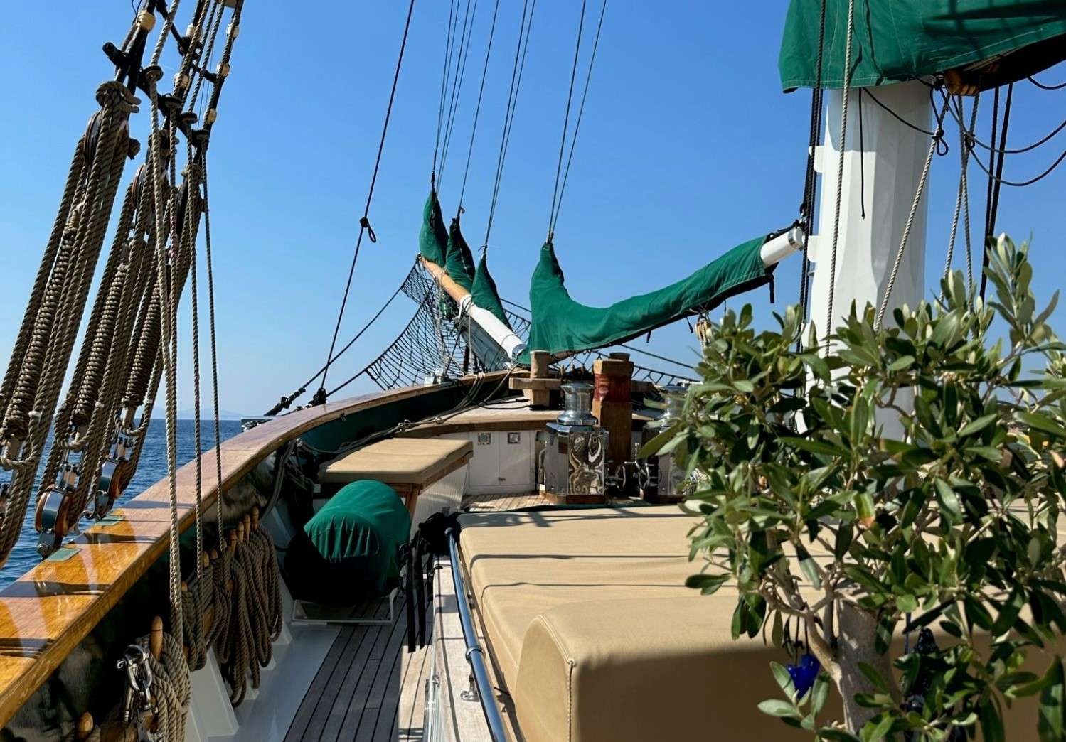 Motor sailor — photo 3