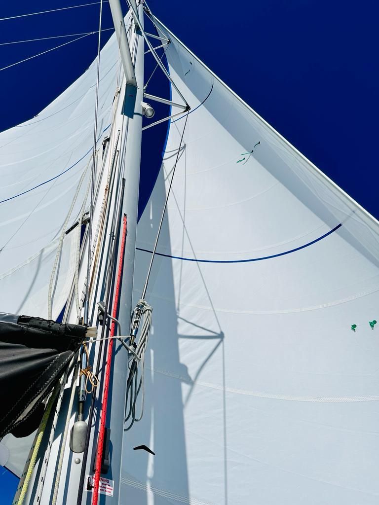 Lagoon 450 SporTop — photo 20