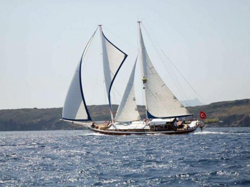 Bibi Aysegul - 2
