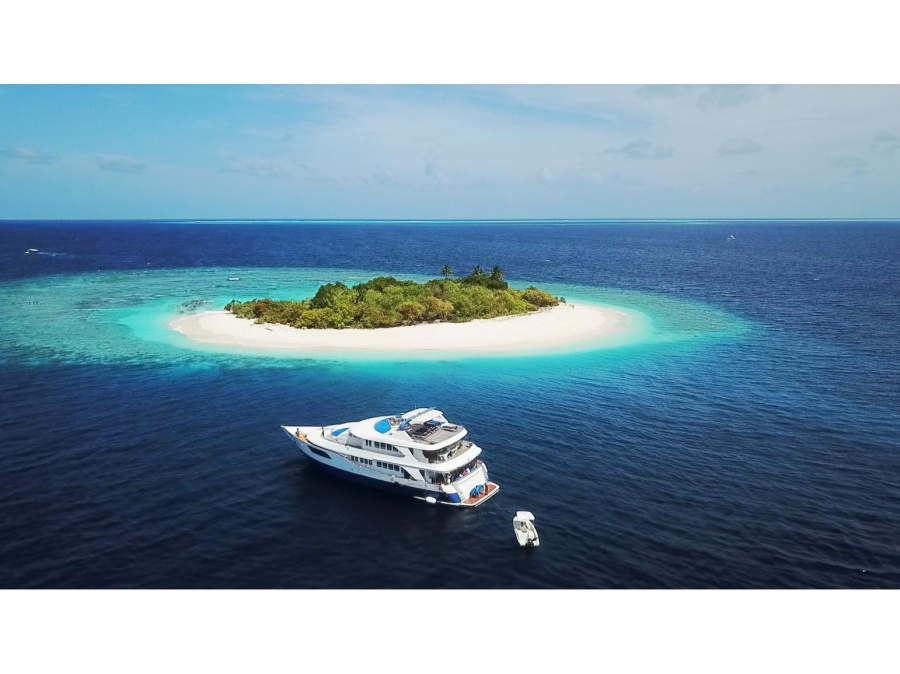 Photo #1 - Motoryacht 33M (M/Y Honors Legacy) en  - 12699