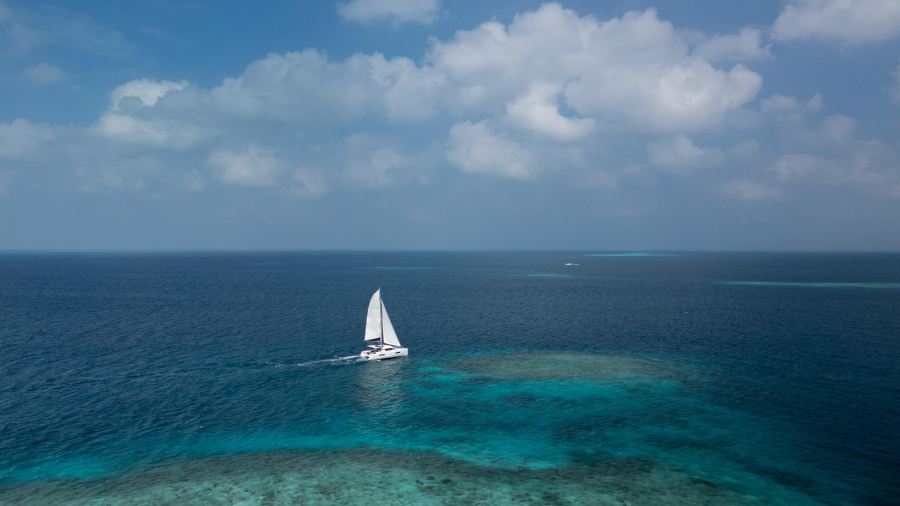 Sail La Vie - 1