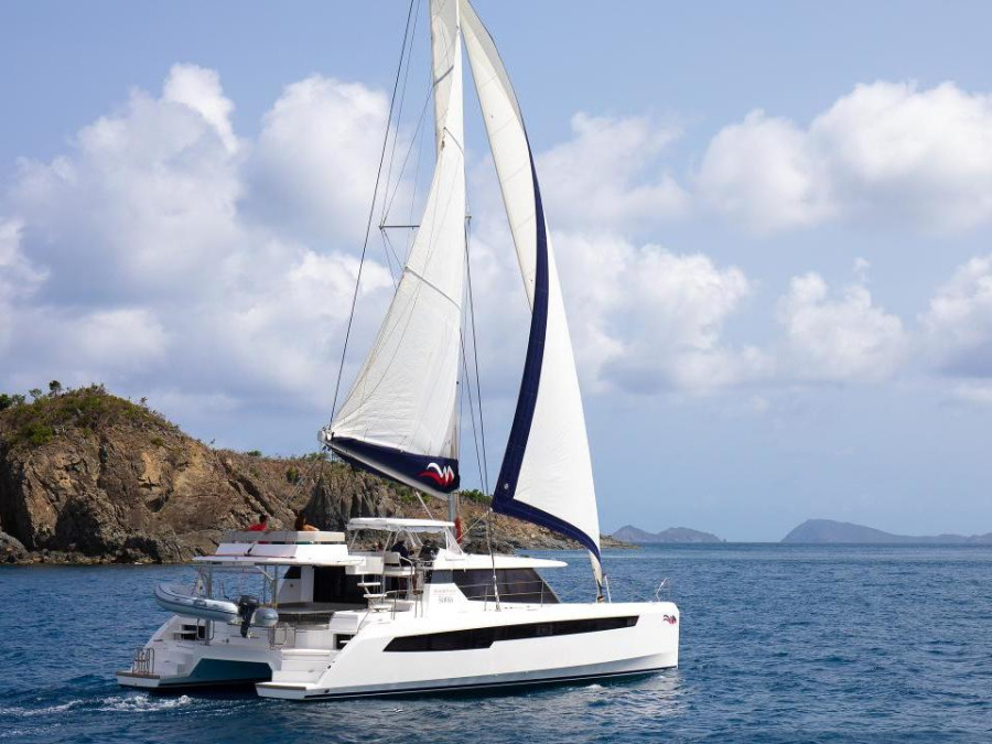 Photo #1 - Leopard 50 (Leopard 50) en Wickhams Cay II Marina - 60867