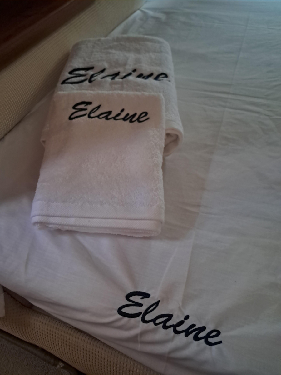 ELAINE - 1