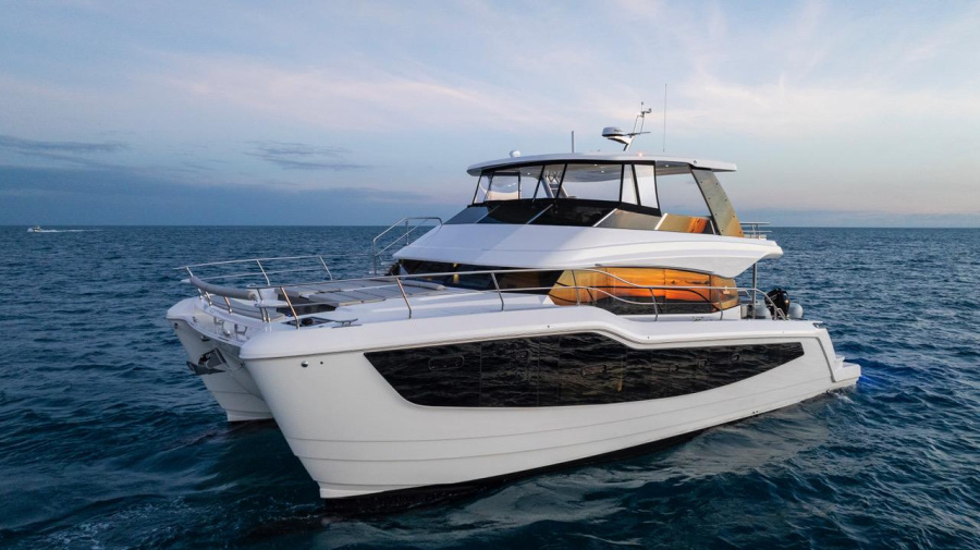 Sea Stars VI - 2