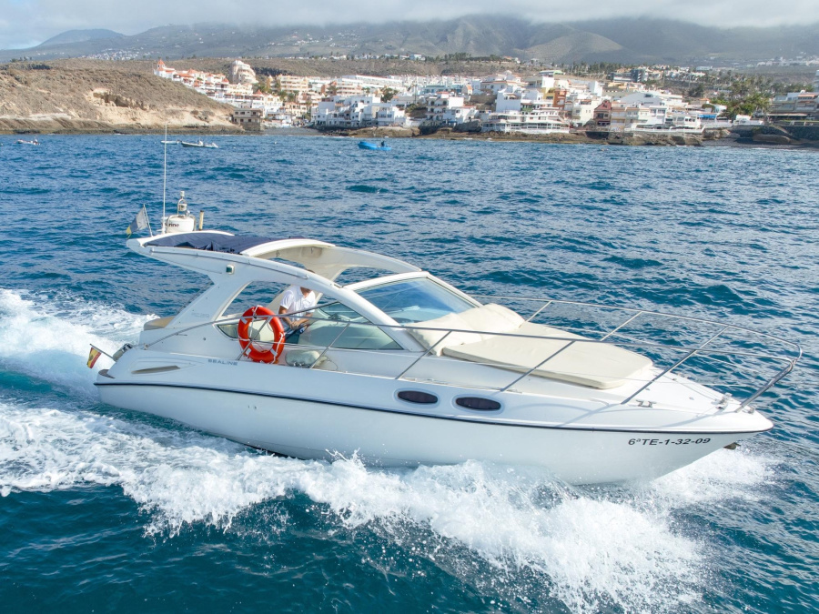 Photo #1 - Sealine SC29 (Champagne) en Club Náutico Puerto Colón - 67051