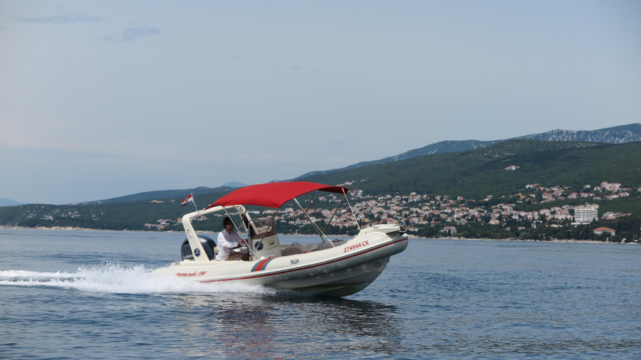 Barracuda 590 - 12 - 2