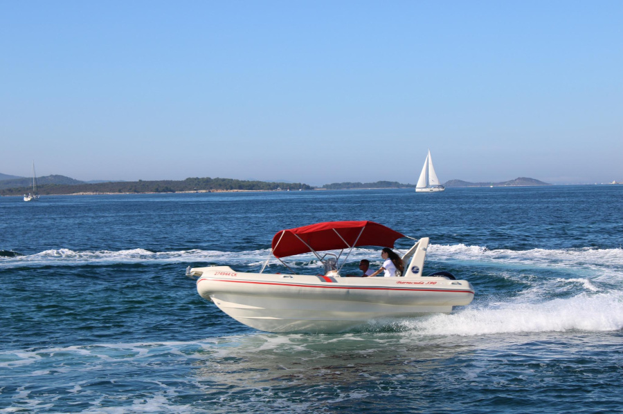Barracuda 590 - 12 - 0