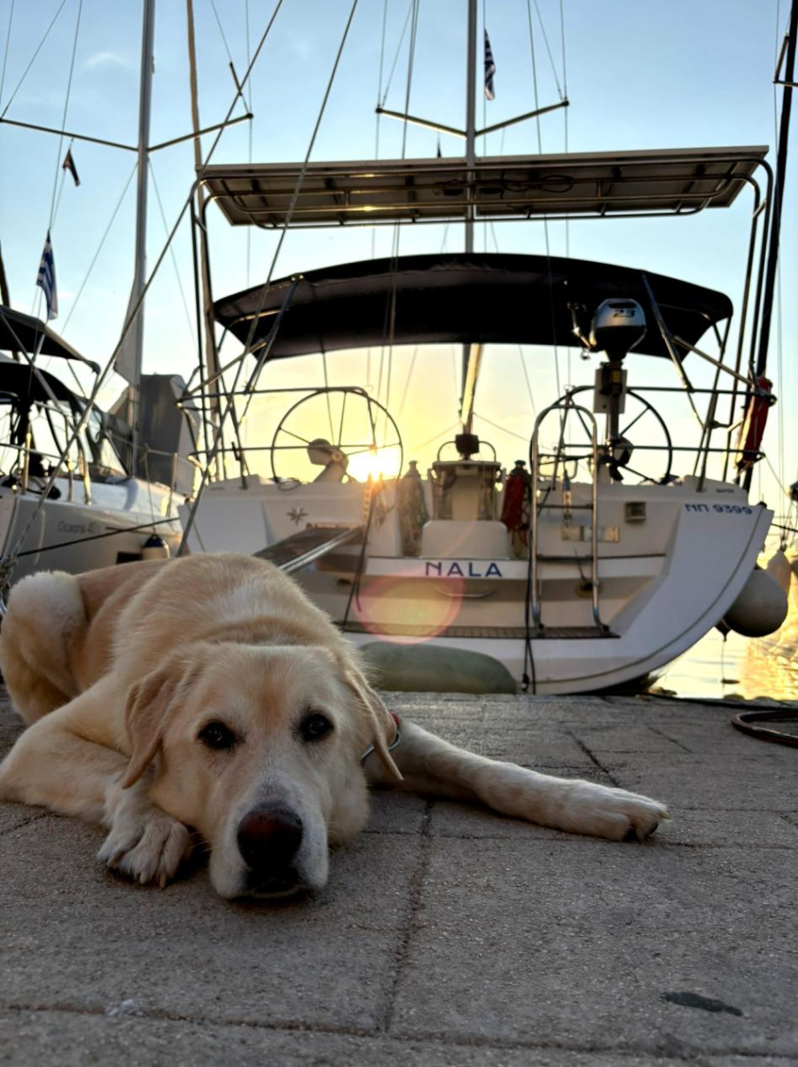 Photo #1 - Sun Odyssey 45 (Nala) en Main Port - 65013