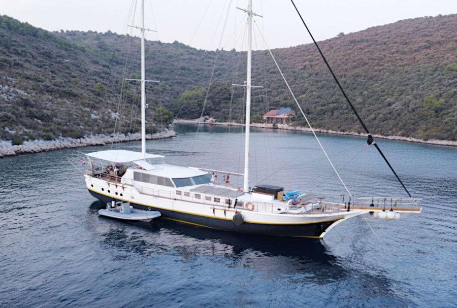Nautilus - 2