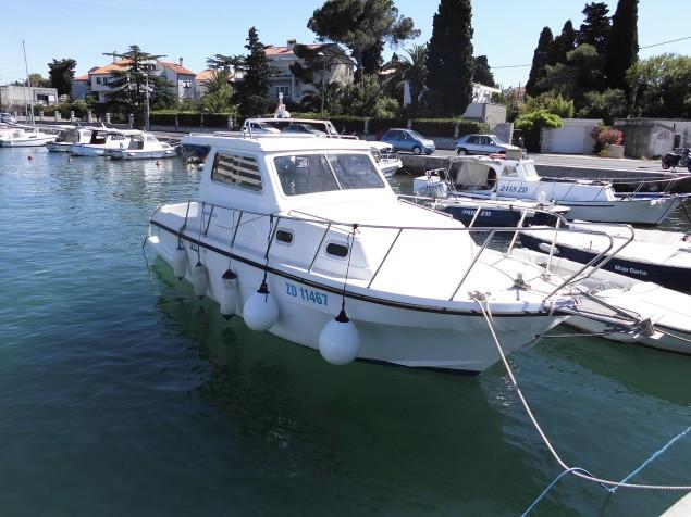 Photo #1 - Damor 800 - 1 cab. (Zadar) en Marina (ex. Tankerkomerc) - 46397