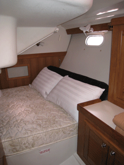 Catalina 350 — photo 3