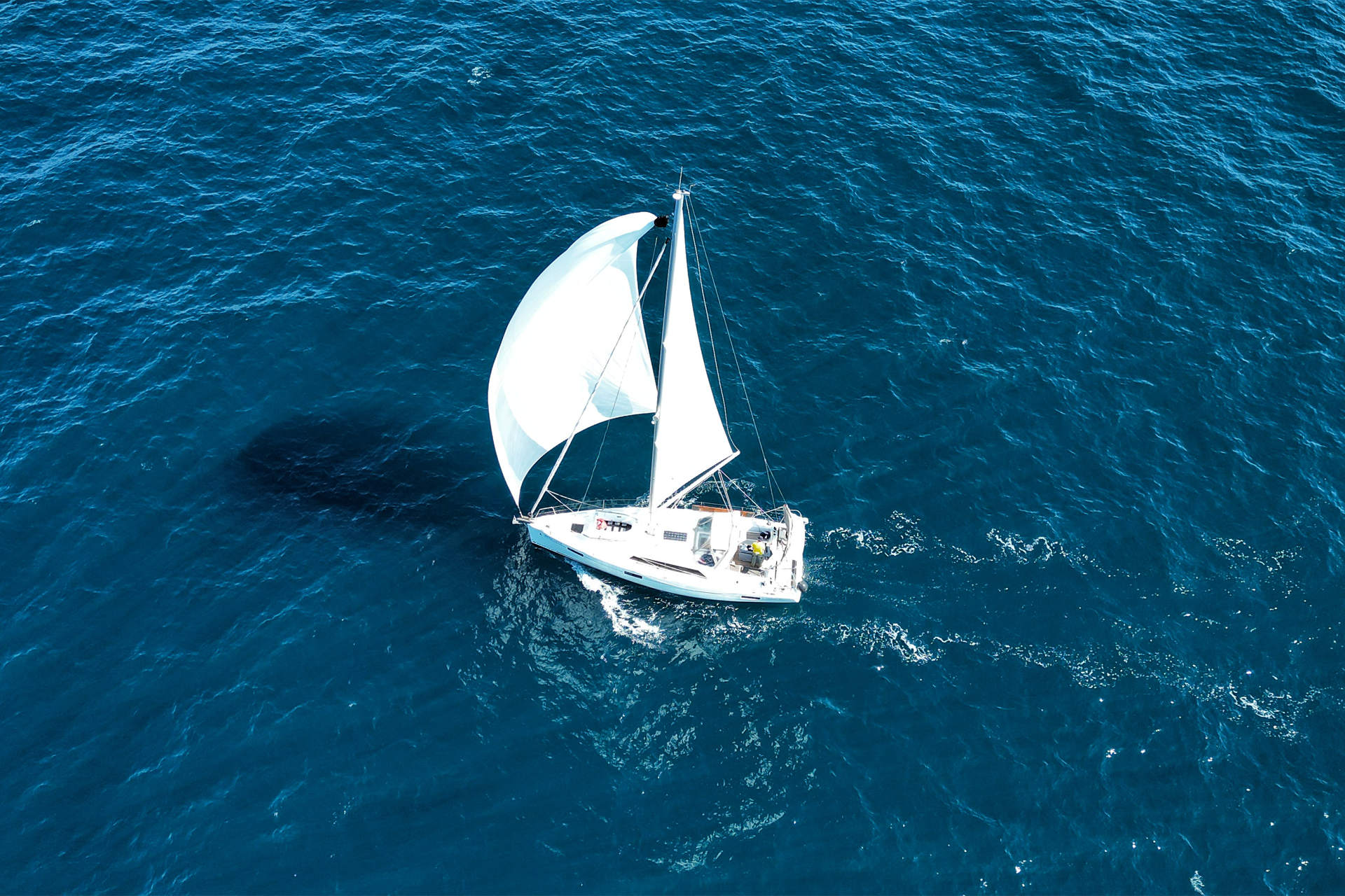 Oceanis 41.1 — photo 22