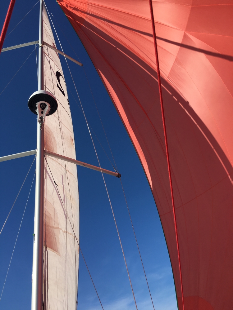 Oceanis 38 - 3 cab. — photo 12