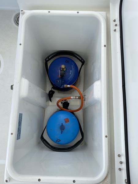 Lagoon 450 F - 4 + 2 cab. — photo 23