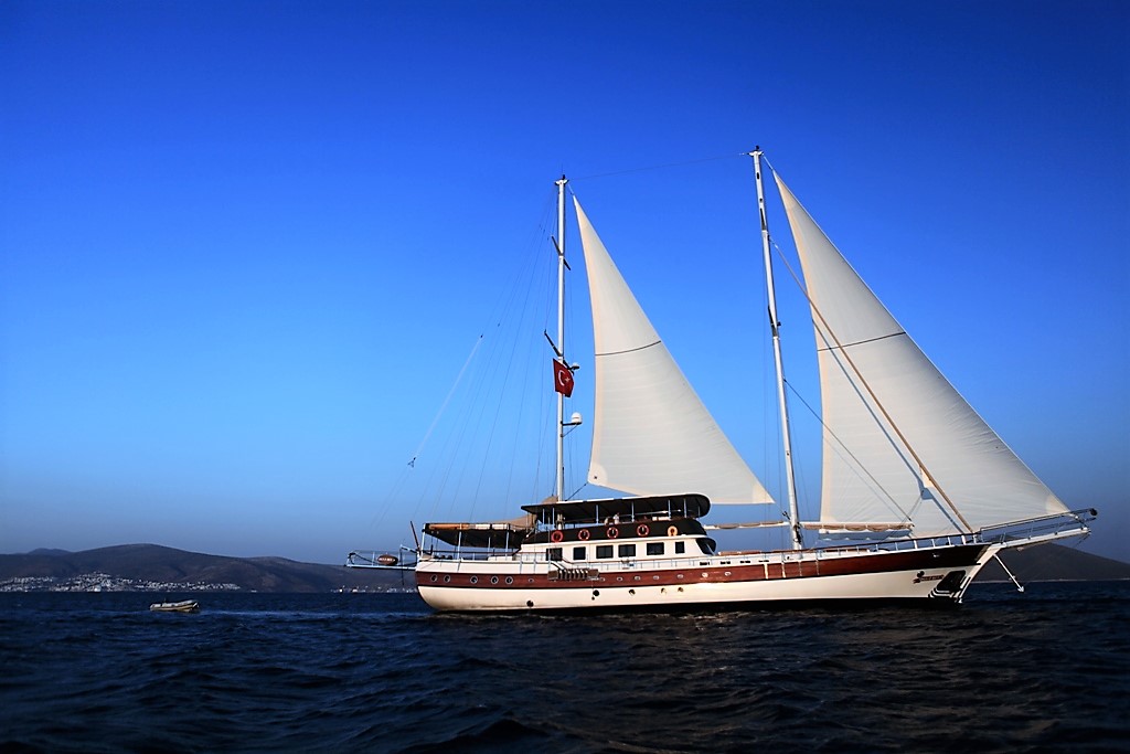 Oguz Bey — photo 1