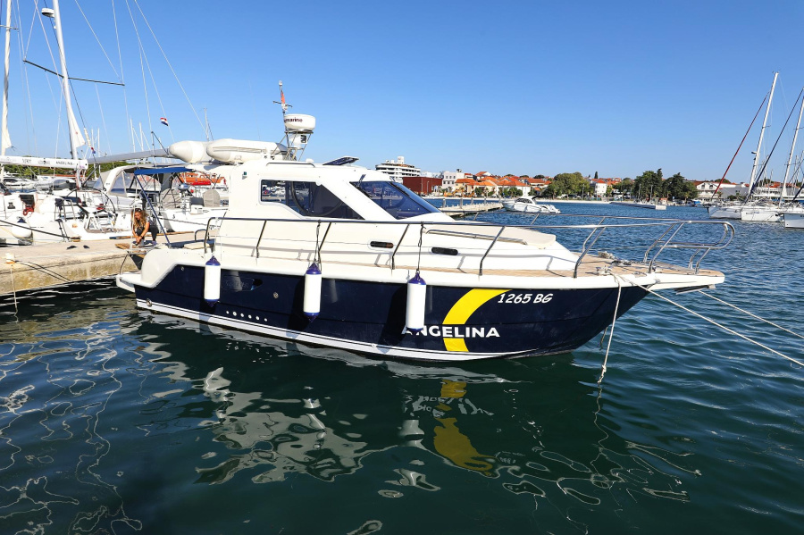 Vektor 950 — photo 39