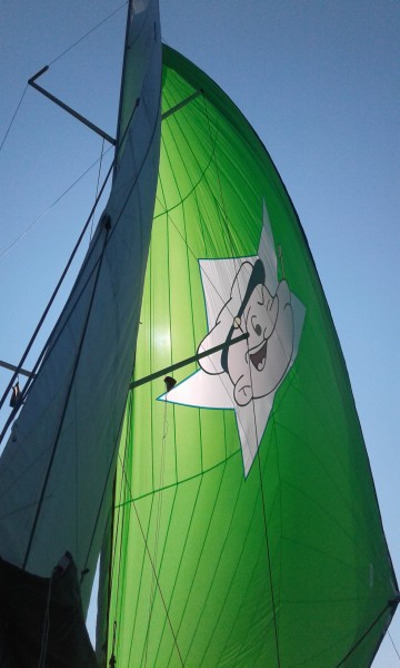Sun Odyssey 349 - 3 cab. — photo 10