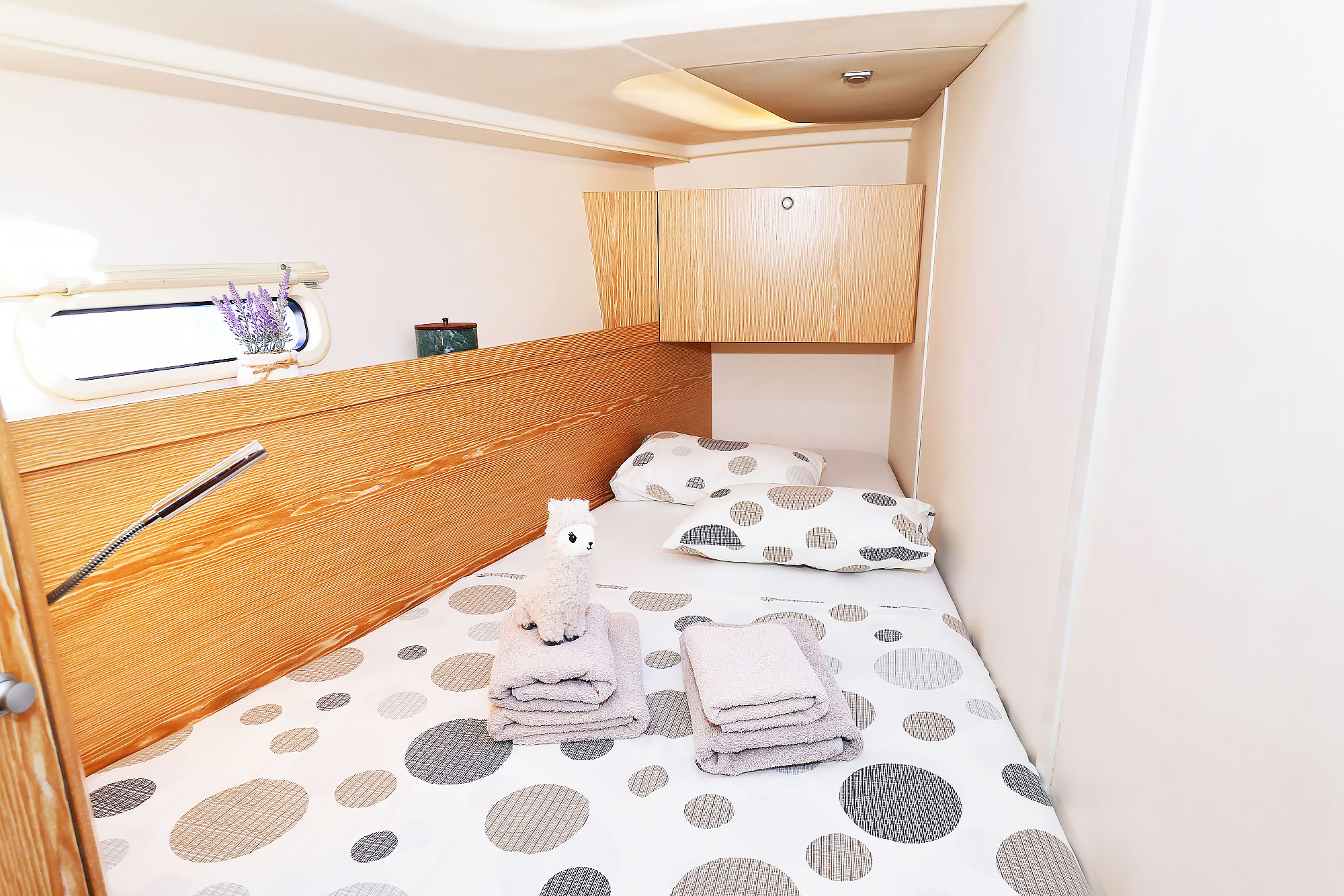 Hanse 455 — photo 23