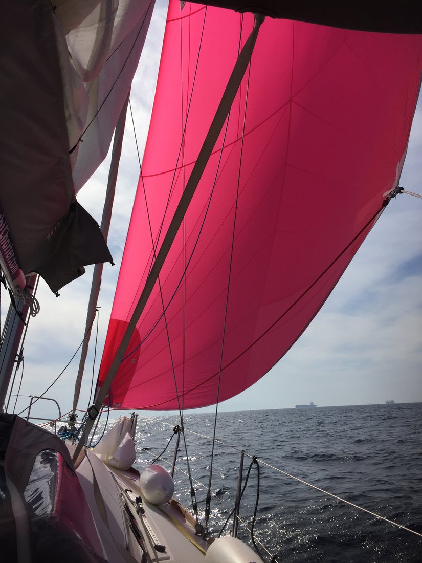 Oceanis 37 — photo 5