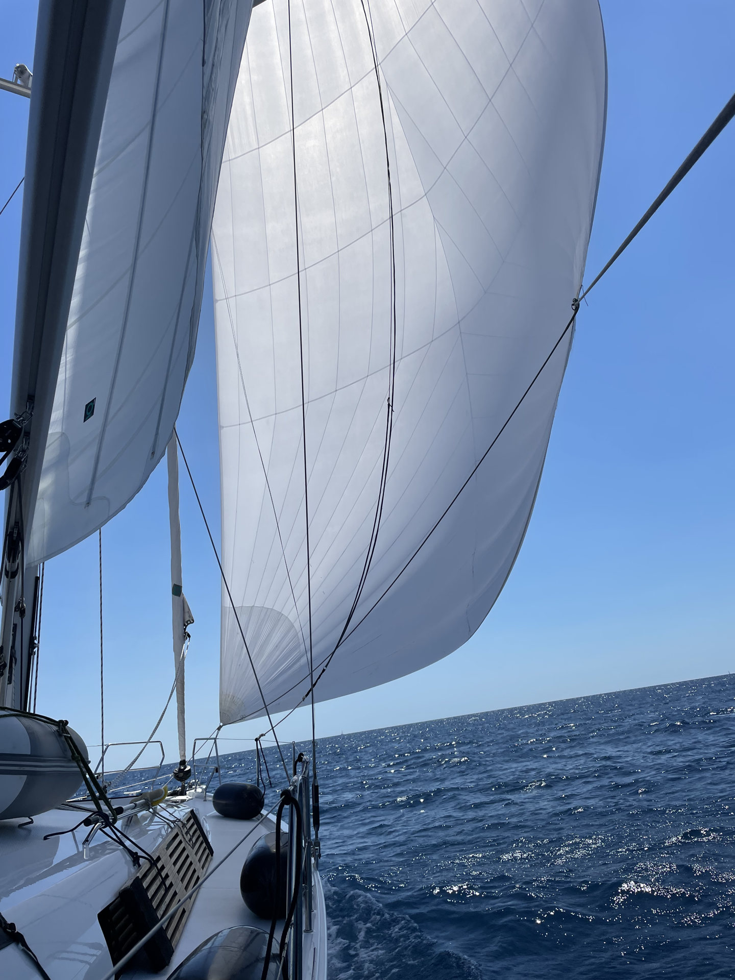 Hanse 460 - 4 cab. — photo 6