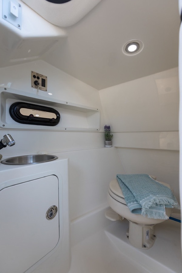 Sea Ray SDX 270 — photo 10
