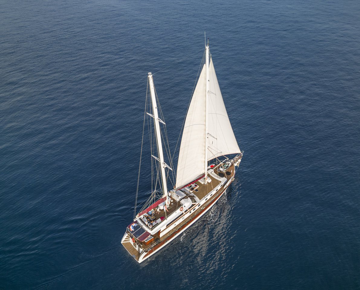 Adriatic Holiday — photo 3