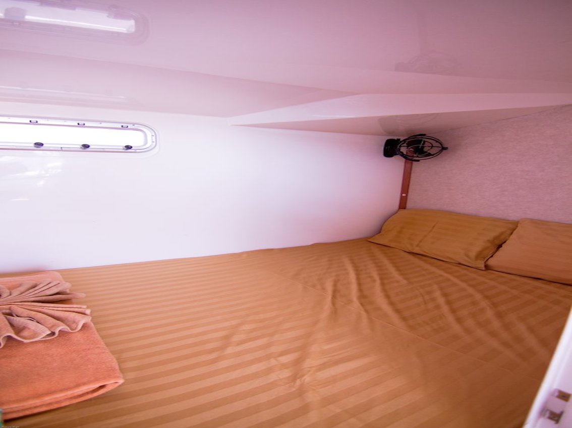 Island Spirit 38 - 4 cab. — photo 13