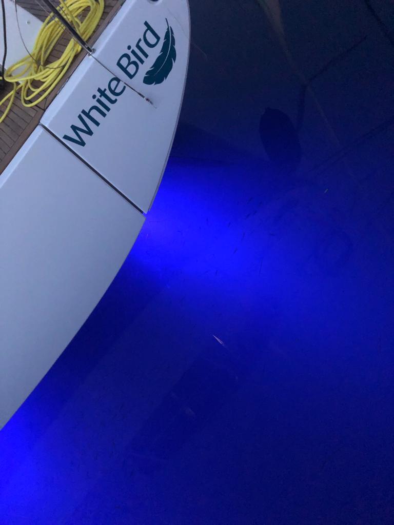 Oceanis Yacht 54 — photo 9