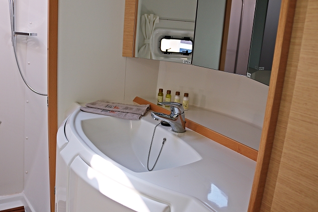 Lagoon 421 - 3 cab. — photo 15